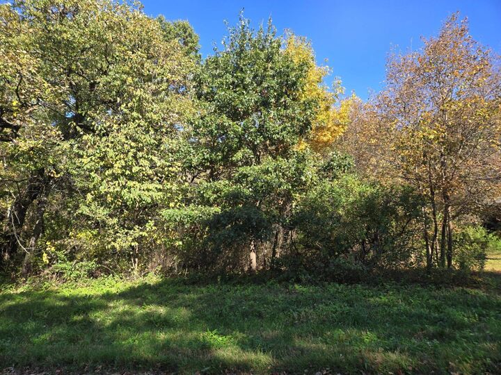 Property Photo:  9A32 Pine Court  IL 61001 