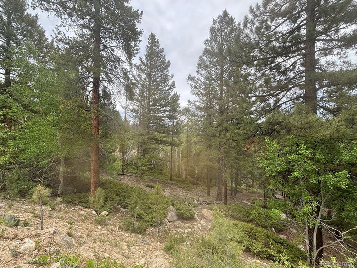 Property Photo:  30304 Aspen Turn  CO 81211 