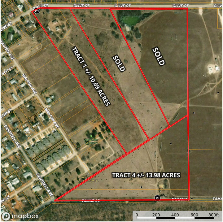 Property Photo:  +/- 10.69 Acres Olive Street  TX 78026 