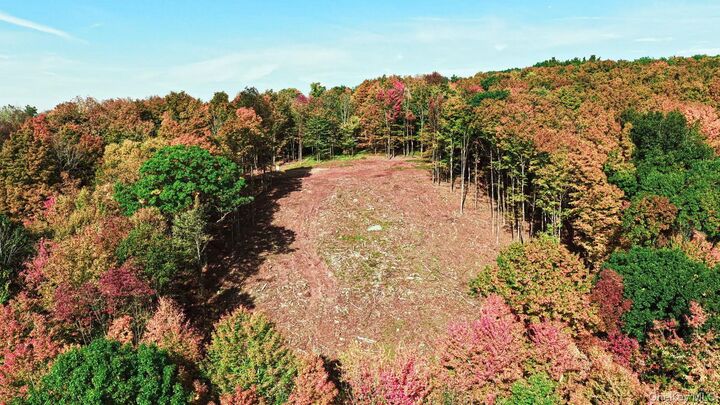 Property Photo:  114 Skyline Drive  NY 12765 