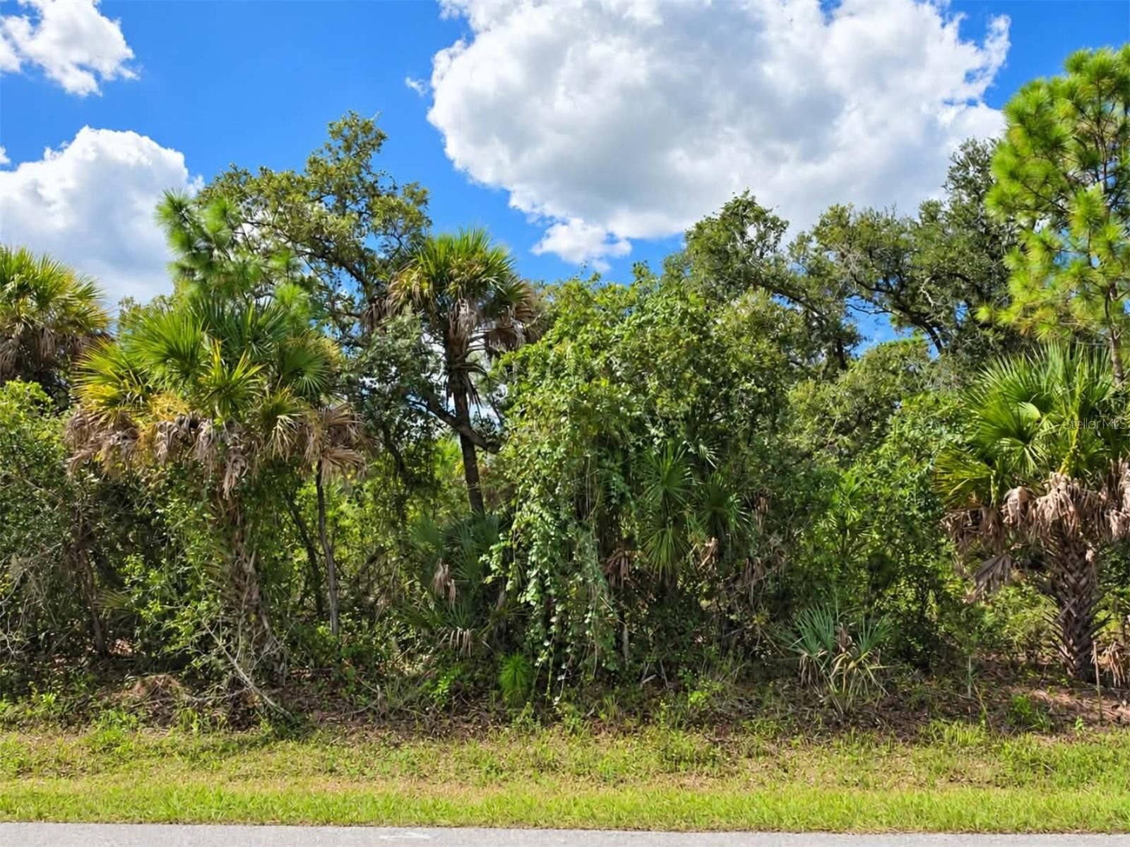Property Photo:  181 Juper Street  FL 33953 