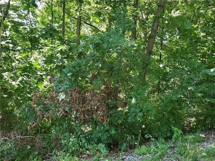Property Photo:  0 N Shady Ave  PA 15342 