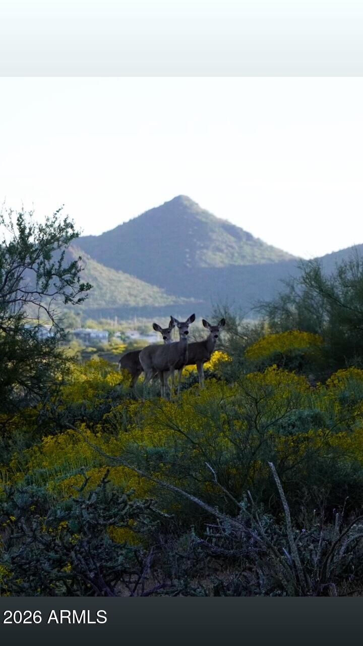 Property Photo:  0 E Angel Basin Road 3  AZ 85118 