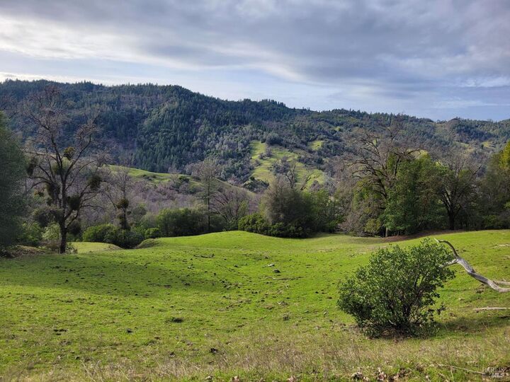 Property Photo:  0 Covelo Road  CA 95490 