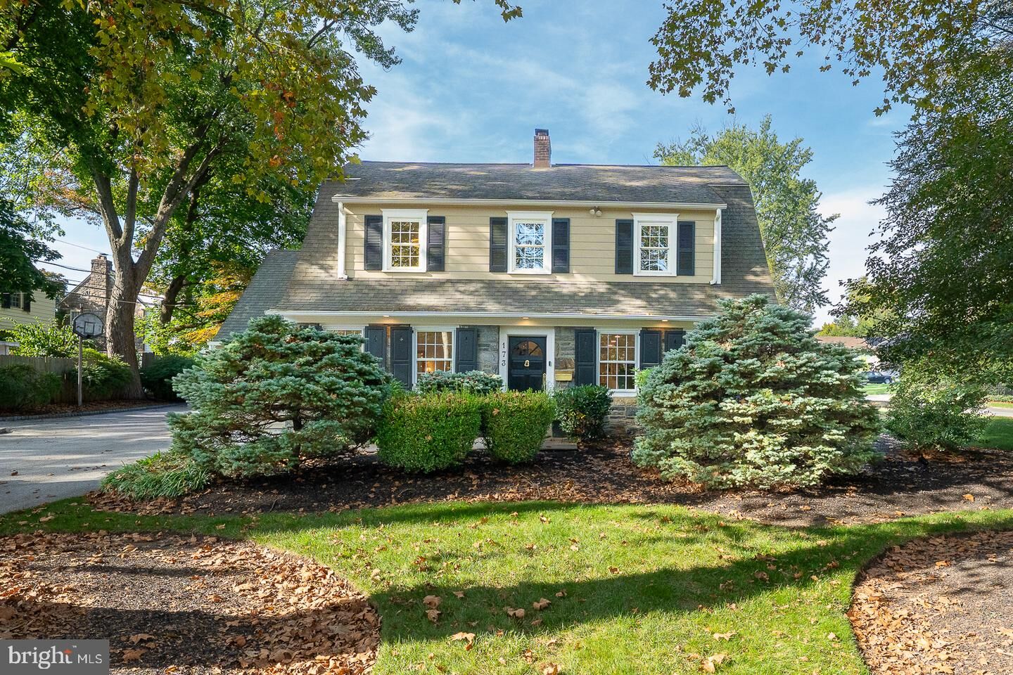 Property Photo:  173 Whitemarsh Road  PA 19003 
