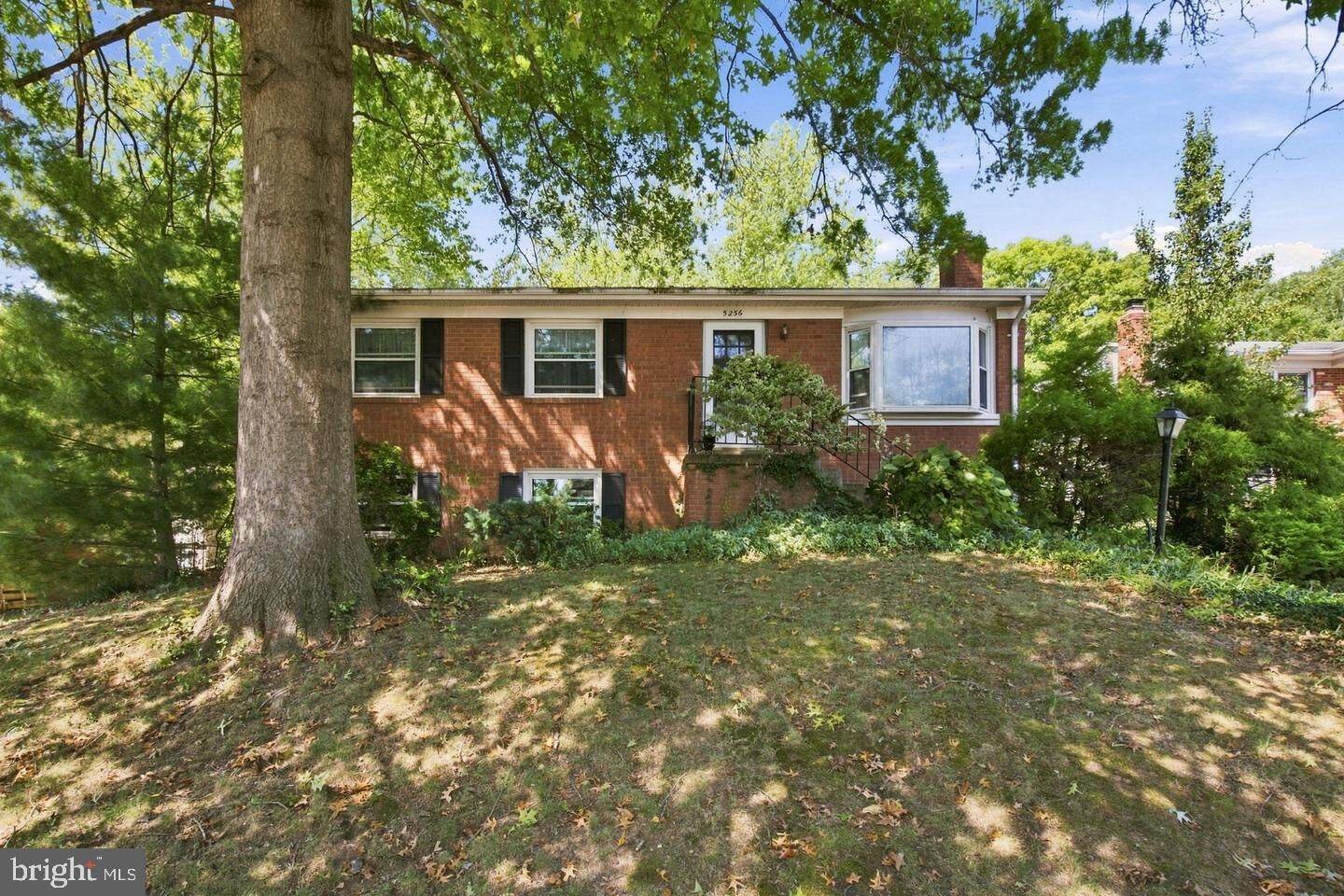 Property Photo:  5256 Medwick Court  VA 22193 