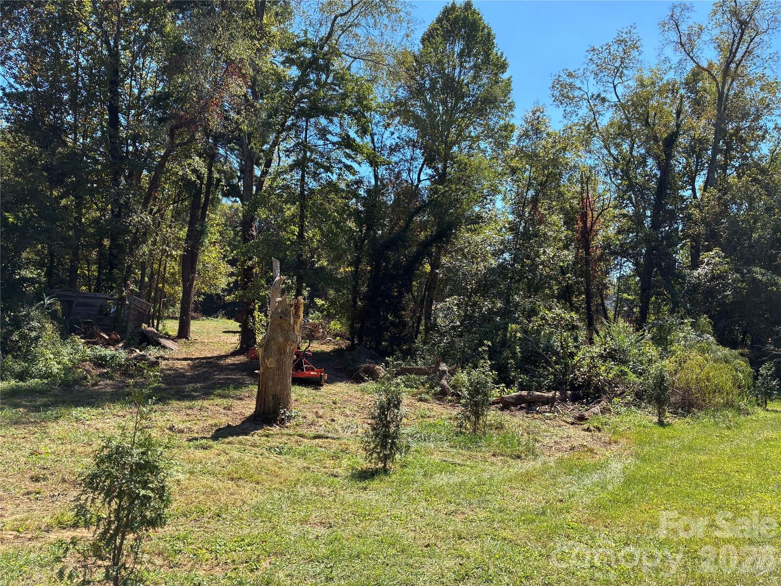 Property Photo: 233 Oakview Road NC 28806