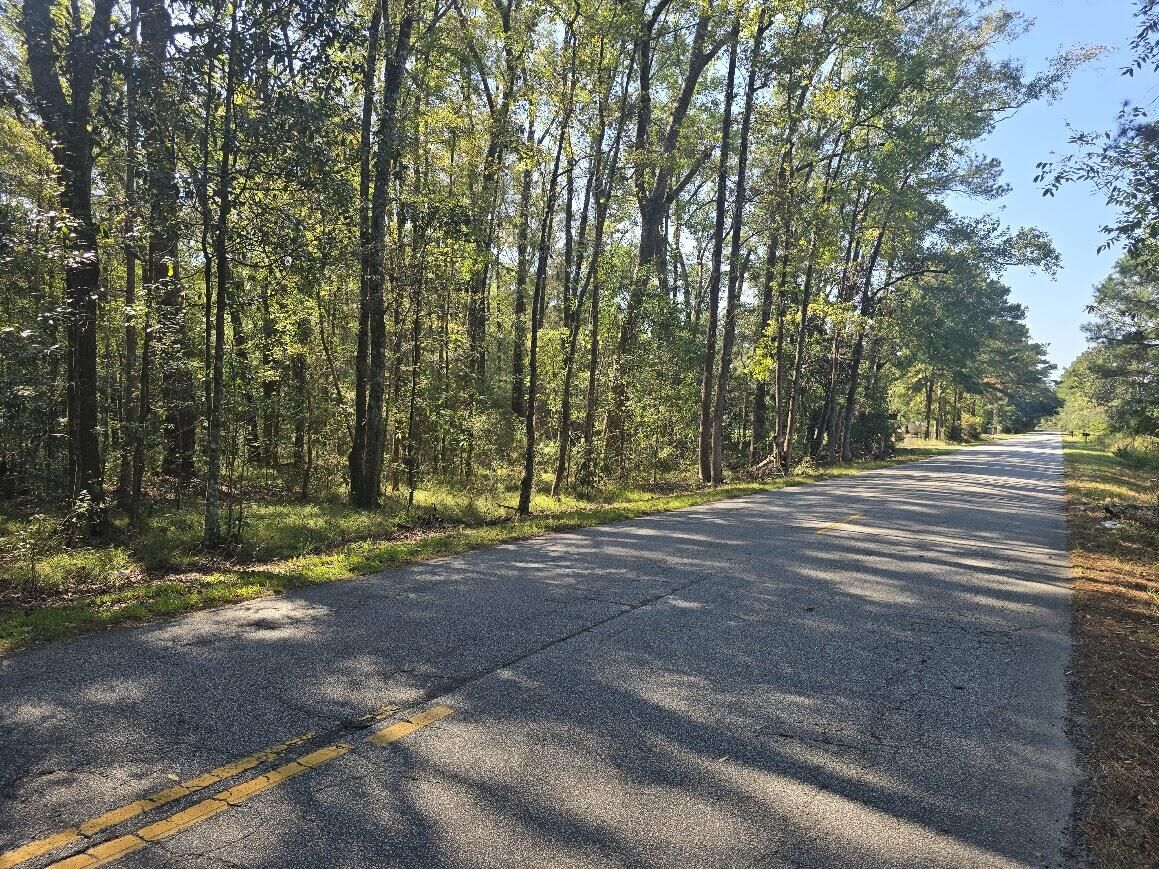 Property Photo: 2442 Peirce Road SC 29435
