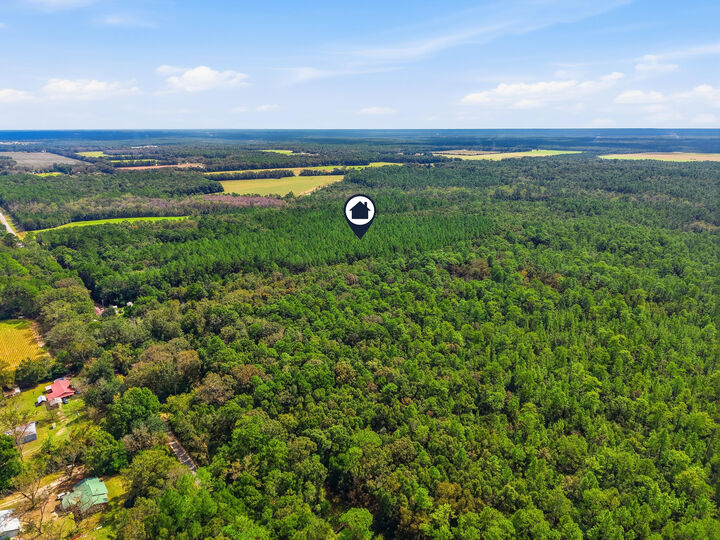 Property Photo:  Tbd Steele Road  FL 32531 