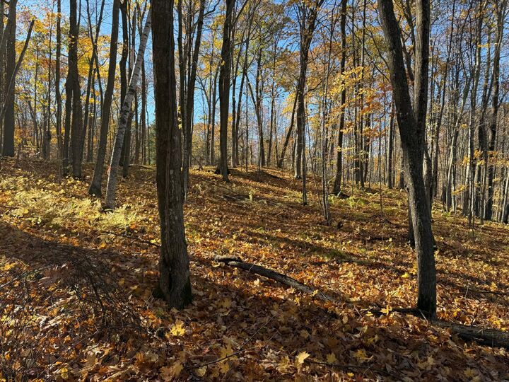 Property Photo:  Tbd County Hwy Md  WI 54870 