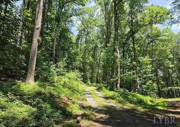 Property Photo:  44 Red Bird Drive  VA 22973 