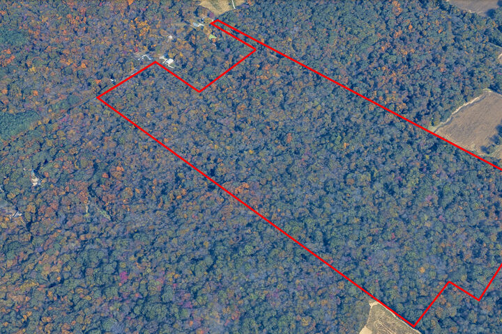 Property Photo: 000 Fowler Road IL 62959