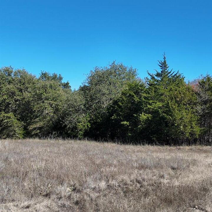 Property Photo: 1703 County Road 4901 TX 75496