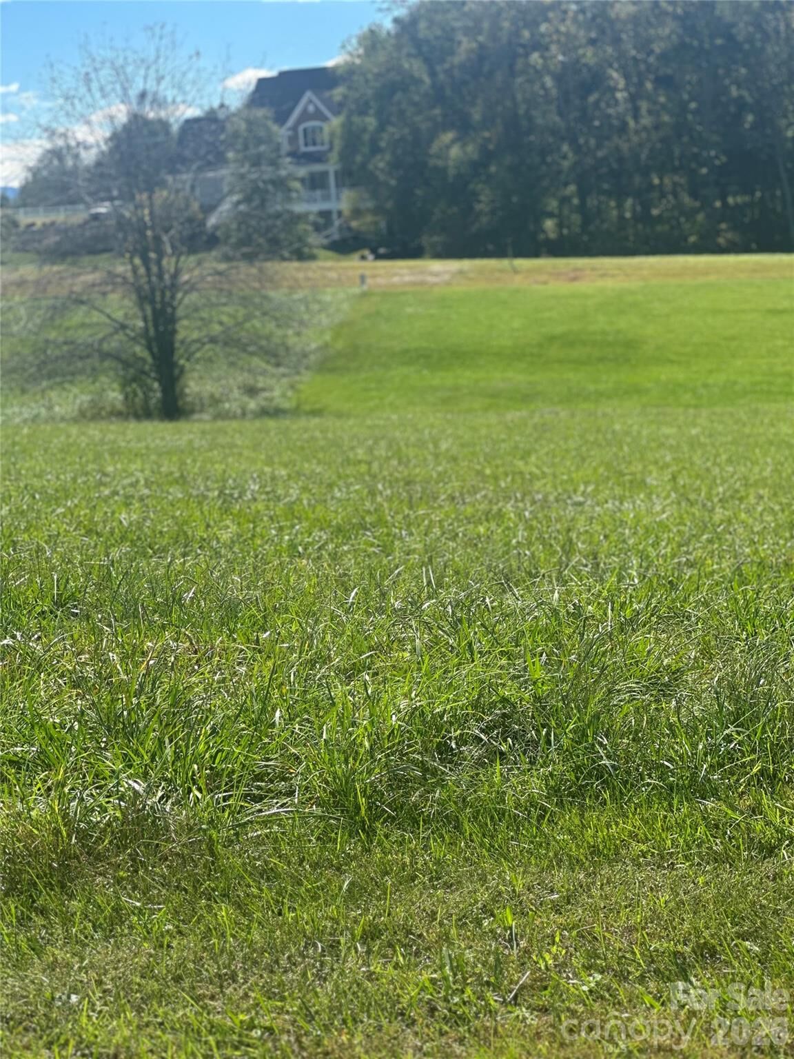 Property Photo: Lot 205 Canterbury Drive NC 28659