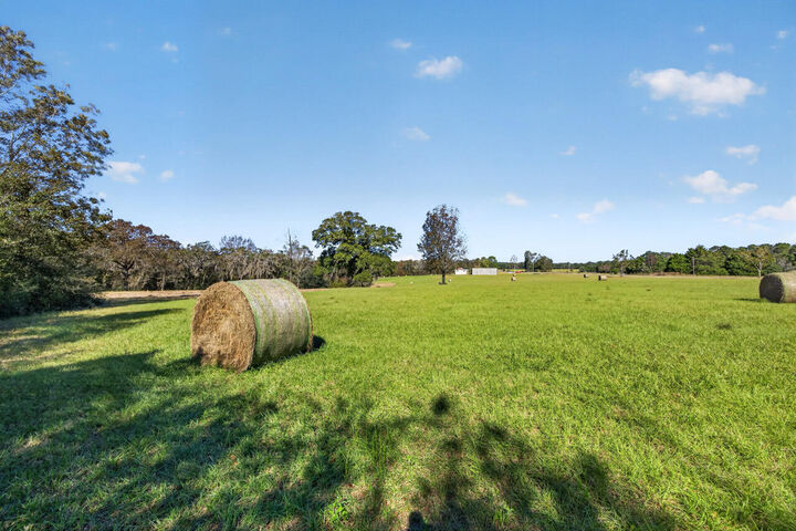Property Photo: 15.97 Ac. Hwy 183 A Parcel B FL 32455
