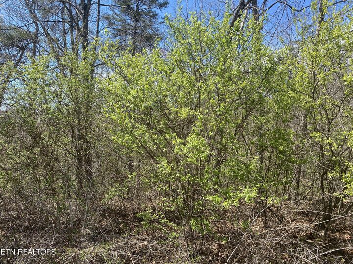 Property Photo:  7 Hwy 127 North  TN 38555 