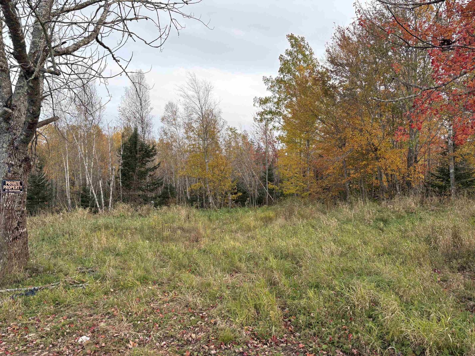 Property Photo:  72 Beck Road  NS B0K 1H0 