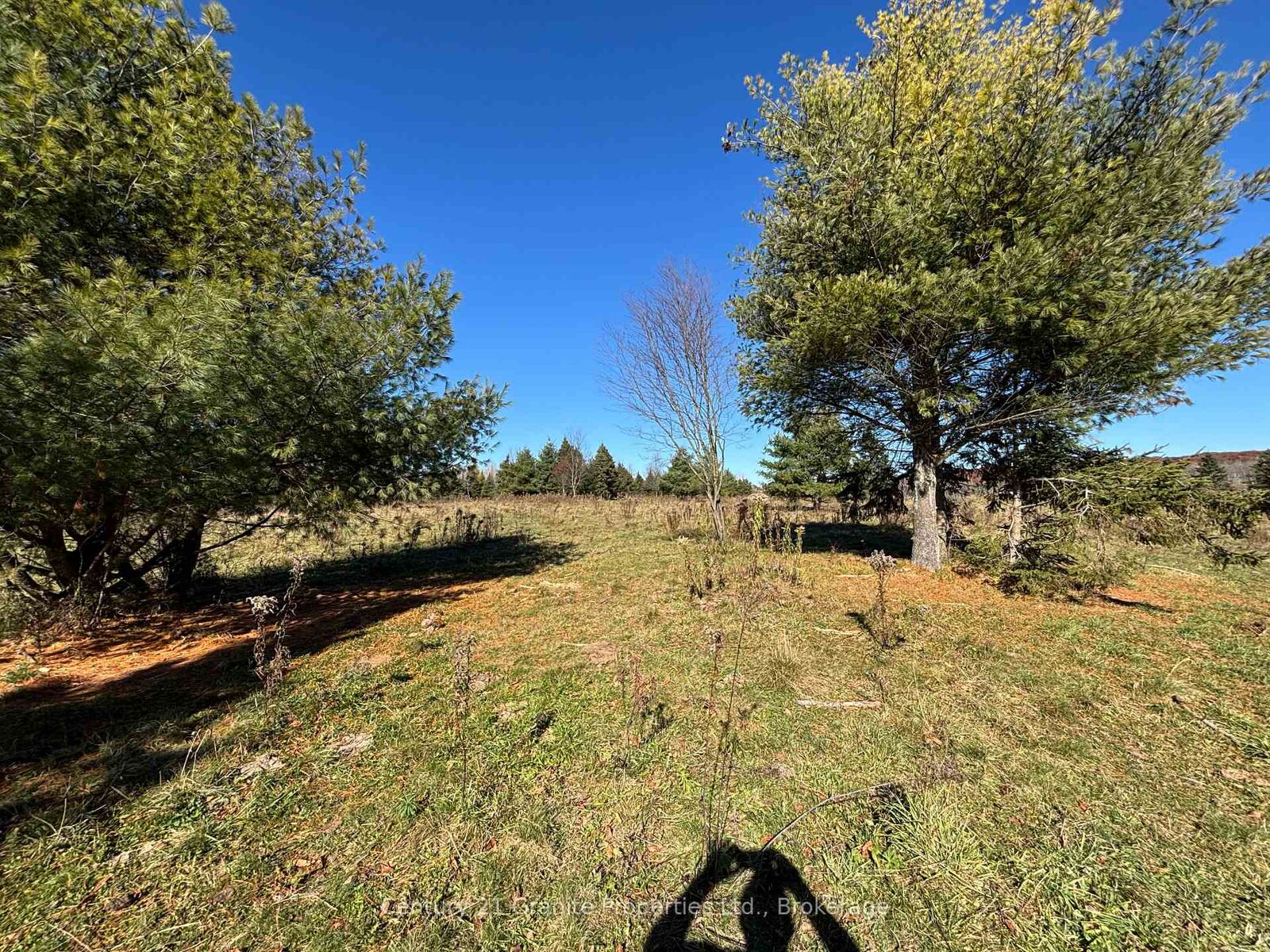 Property Photo:  Part 3 Balsam Road  ON P0A 1G0 