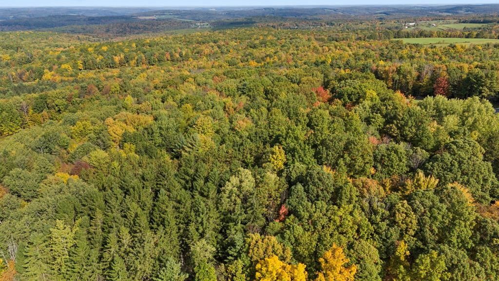 Property Photo: 65 Hawkins Hill Road NY 13833