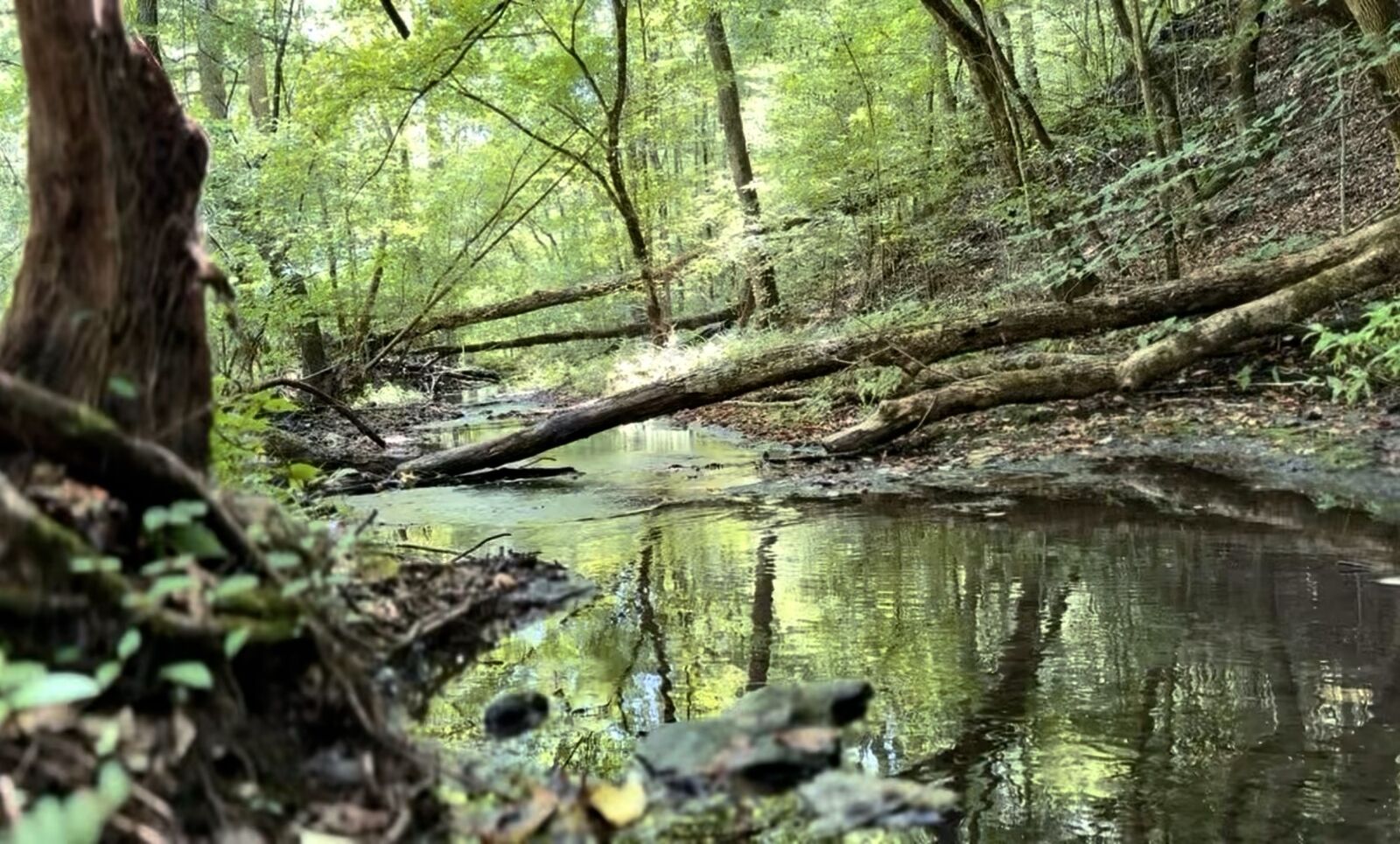 Property Photo:  3261 Waterfall Creek Rd  TN 38450 