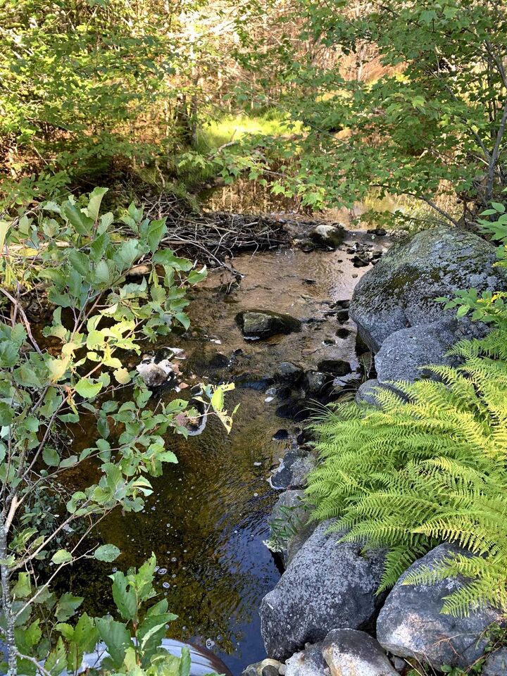 Property Photo:  Block 4 No 316 Highway  NS B0H 1J0 