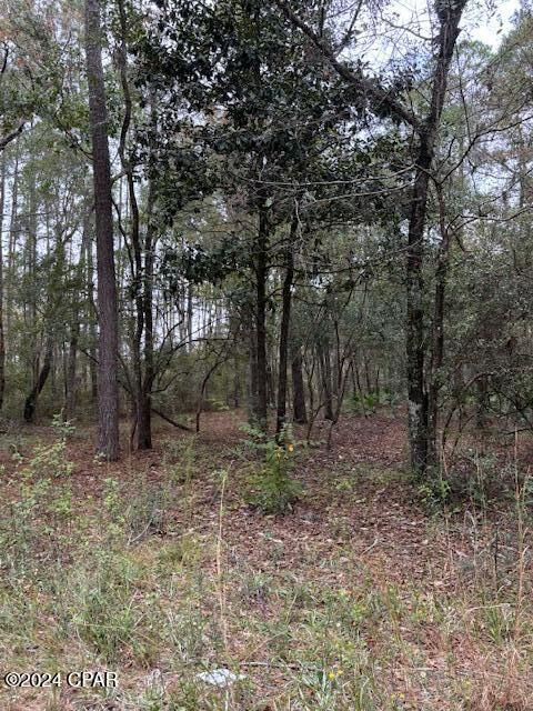 Property Photo:  00000 Everest Drive  FL 32428 