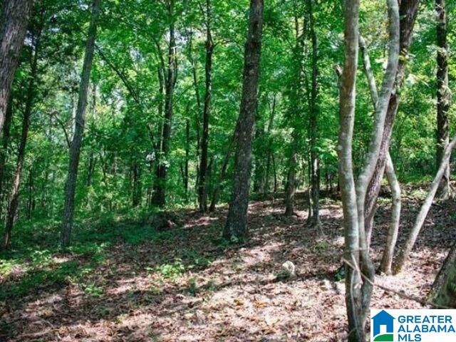 Property Photo: 0 Mountain View Terrace 11 AL 35160