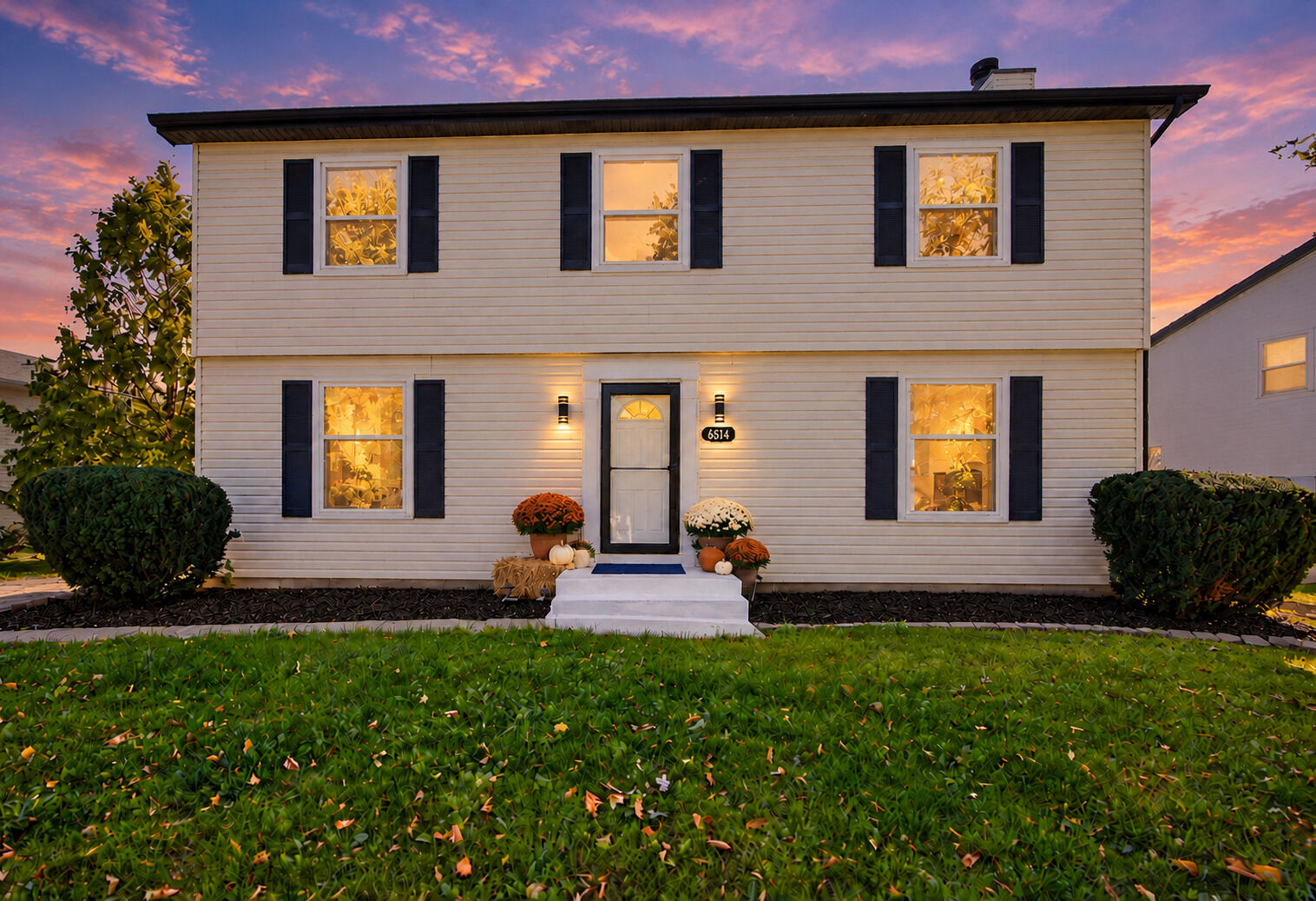 Property Photo: 6514 Walter Adamic Lane IL 60586