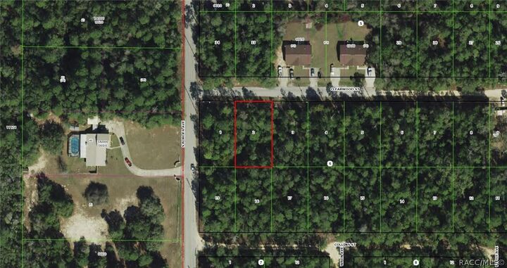 Property Photo:  3005 Clearwood Street  FL 34452 