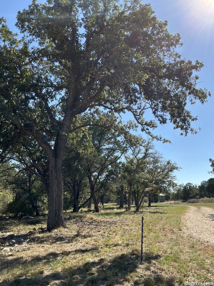 Property Photo:  356 Phyliss Dr  TX 78003 