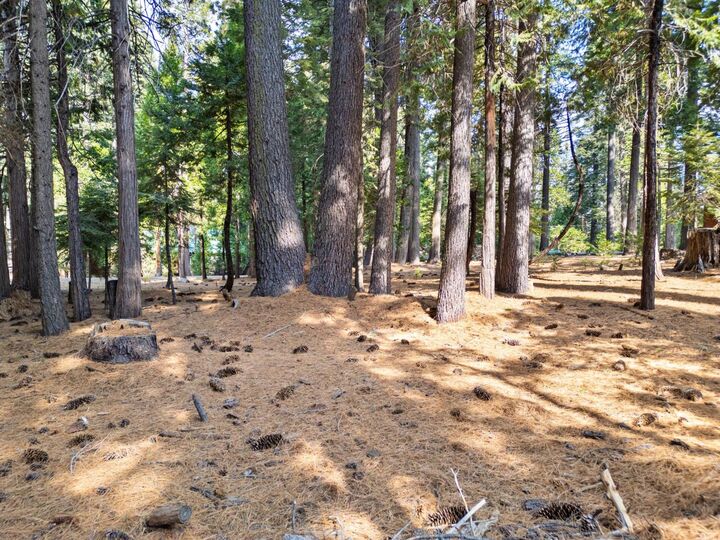 Property Photo:  2865 Osage Circle  CA 95223 