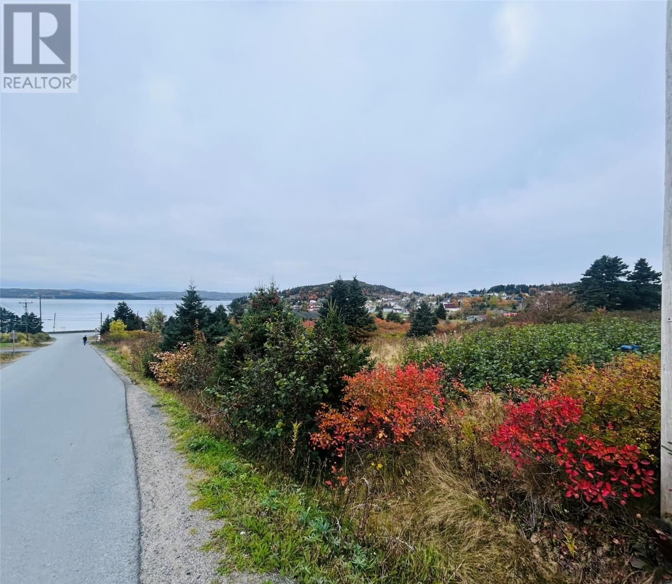 Property Photo:  5 Hill Road  NL A0B 1P0 