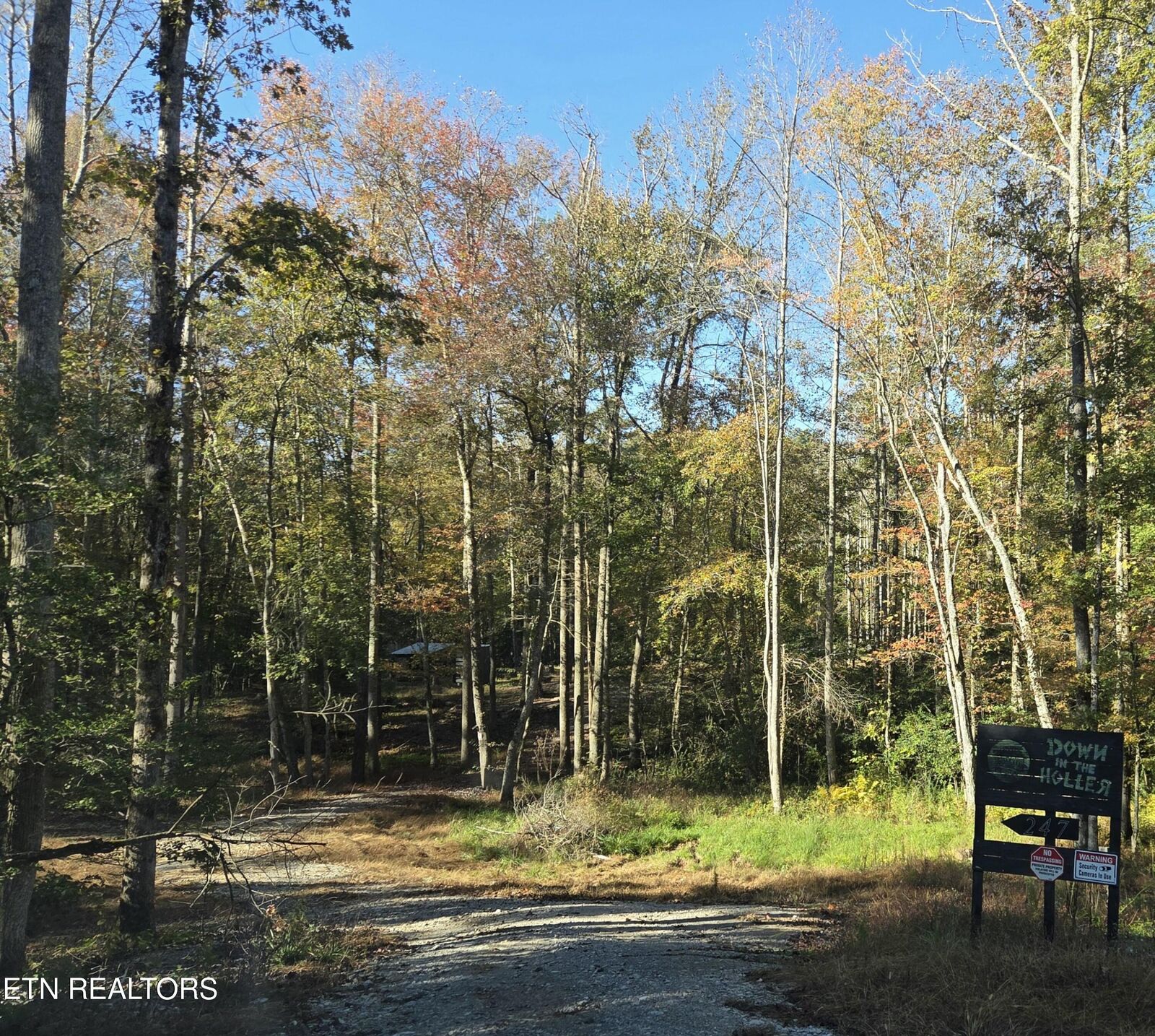 Property Photo:  247 Copperhead Rd  TN 37829 