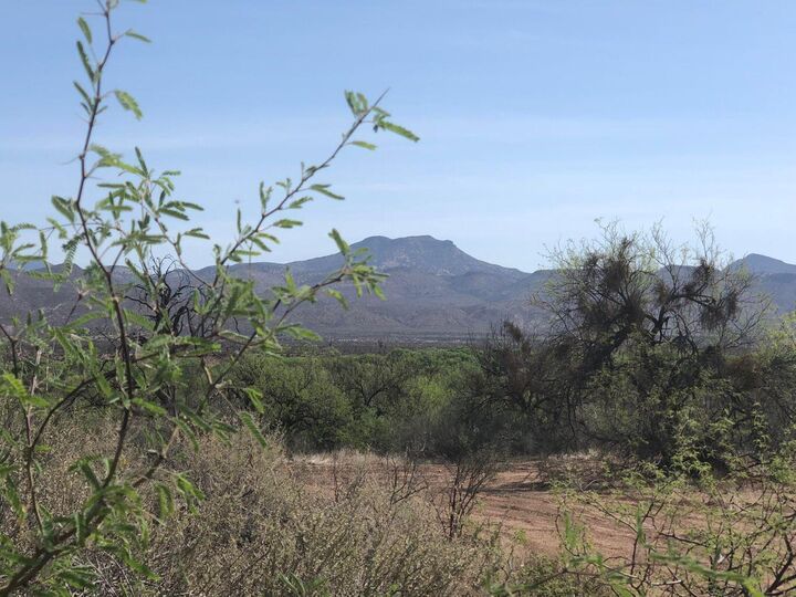 Property Photo:  44247 Az-188  AZ 85553 