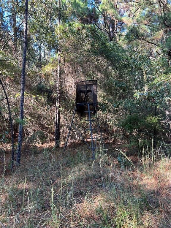 Property Photo:  75-85 Williford Road  LA 71405 