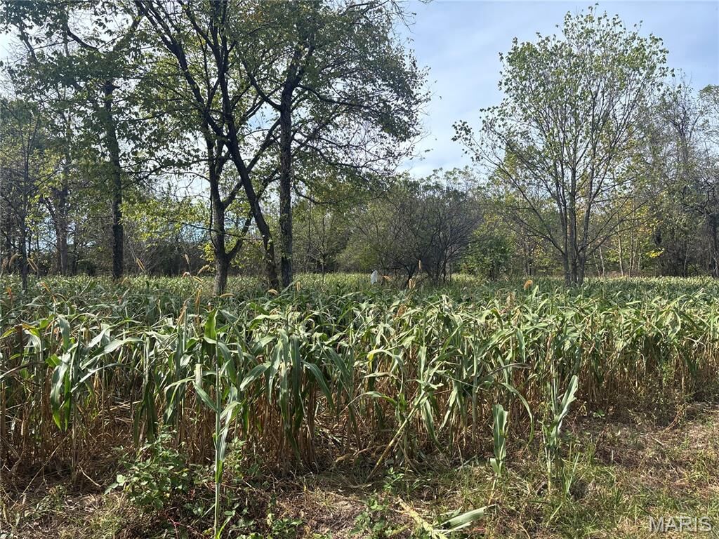 Property Photo:  1223 State Route Yy  MO 65571 