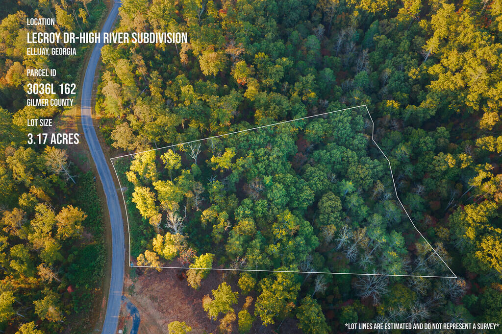 Property Photo: Lot 162 Lecroy Drive GA 30540