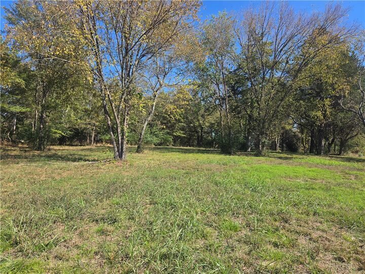 Property Photo: Tract 1 Castleberry Lane AR 72846