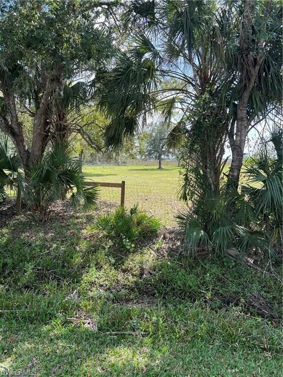 Property Photo: 1665 Pollywog Crossover Rd FL 33935