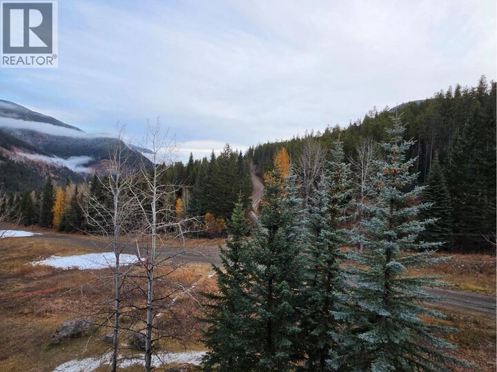 Property Photo:  2090 Summit Drive 419  BC V0A 1T0 