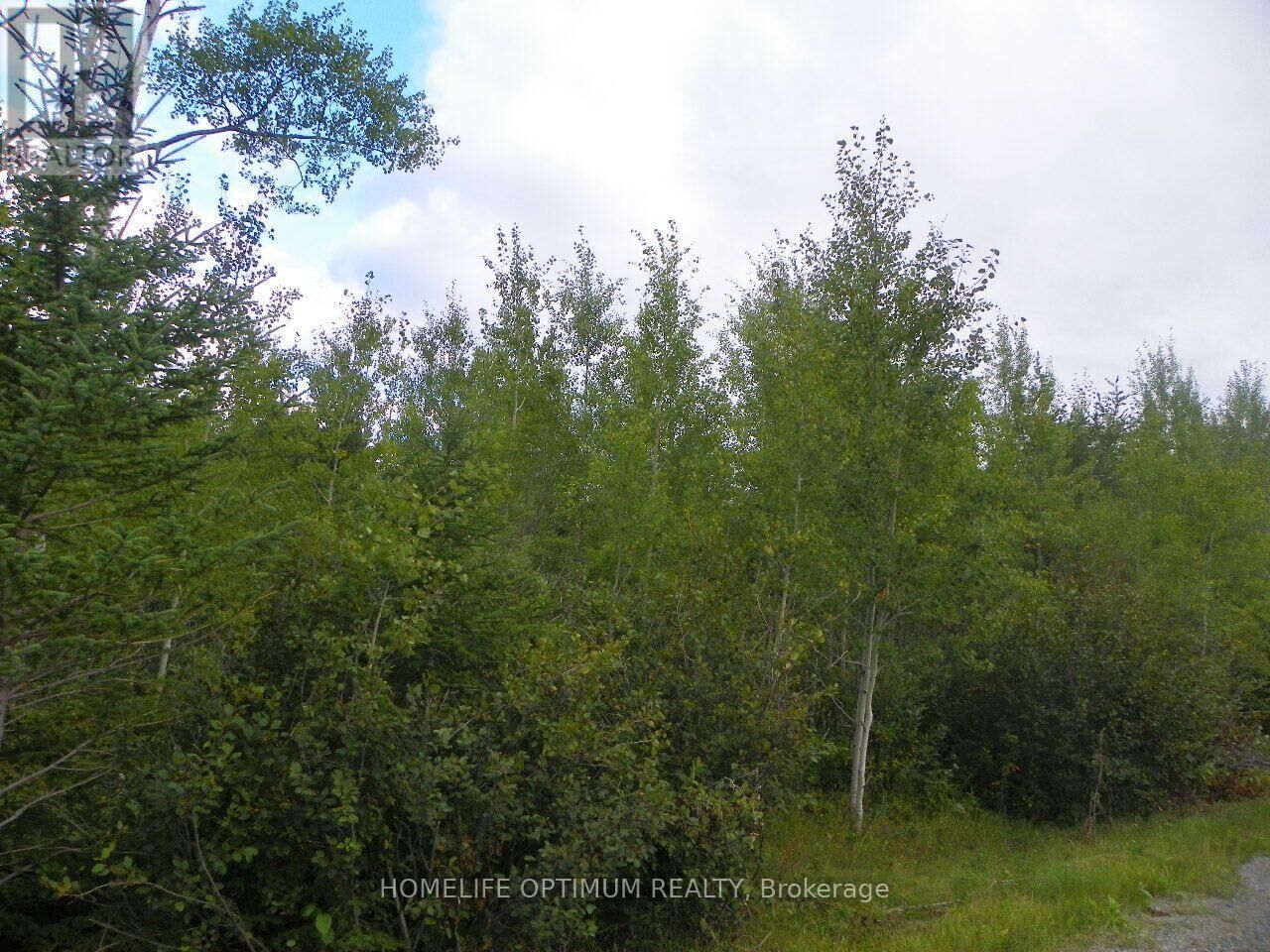 Property Photo: Blue Jay Road ON P0K 1R0