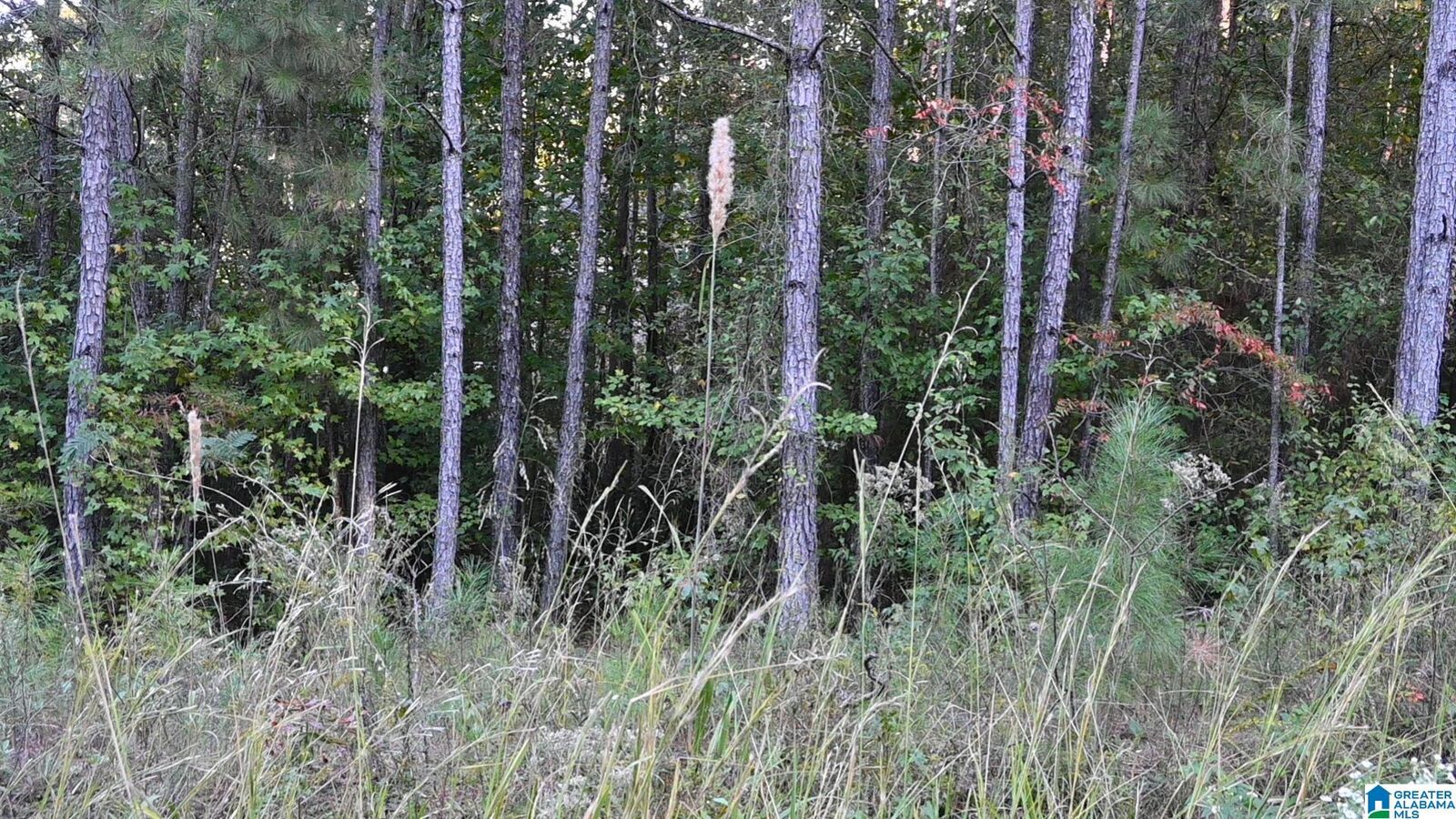 Property Photo:  0 Willowbrook Court 20  AL 35049 