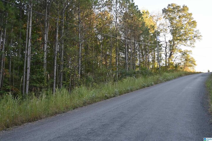 Property Photo:  Willowbrook Court Lot 22  AL 35049 