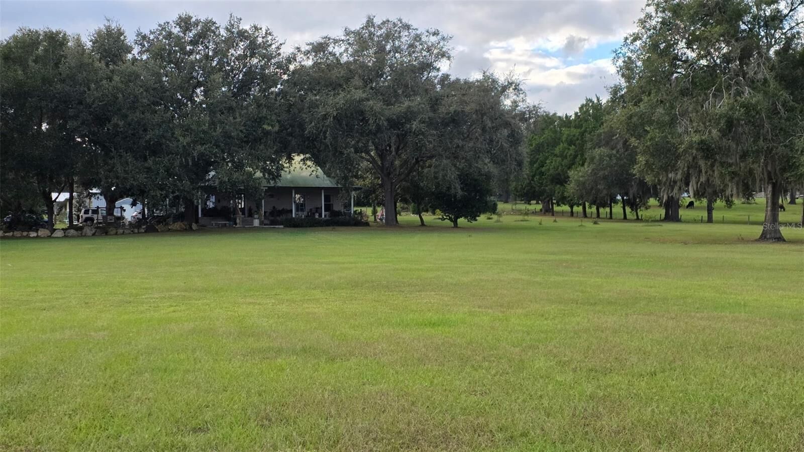Property Photo:  31915 Trilby Road  FL 33523 
