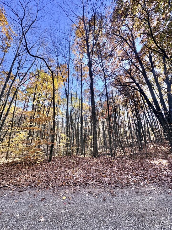 Property Photo:  00 Alps Drive  MI 49677 