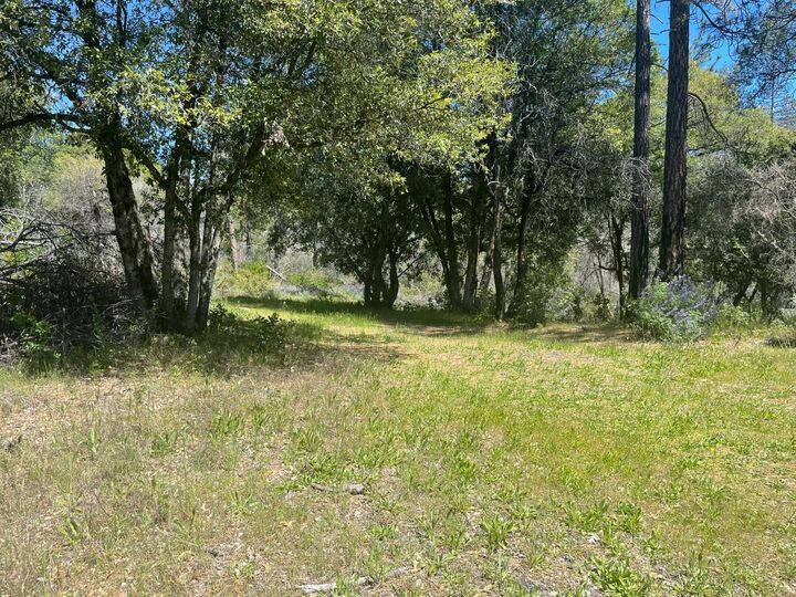 Property Photo: 0 Lumpkin CA 95966