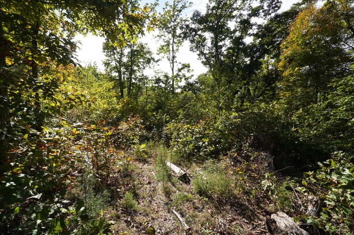Property Photo: 0 Brotherton Rd TN 37760