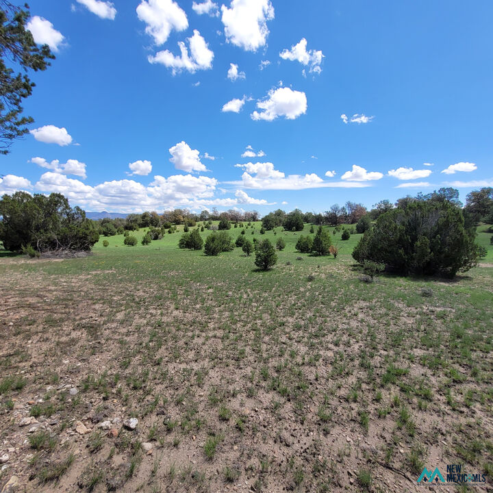 Property Photo: 18 Frontier Trail - Lot 18 Trl 18 NM 87821