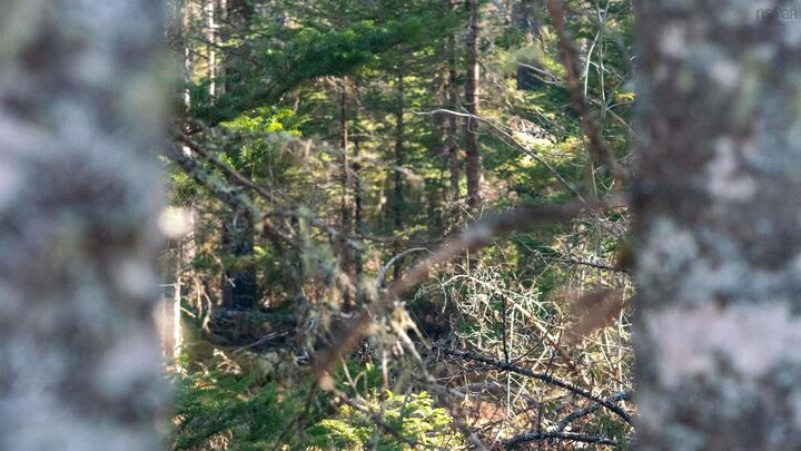 Property Photo:  Lot 13 Maple Drive Drive  NS B0T 1W0 
