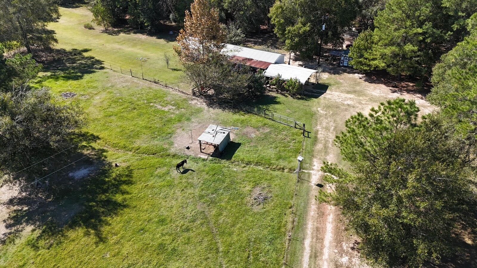 Property Photo: 2250 County Road 777 TX 77612